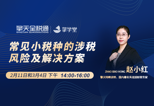 小税种，大风险-常见小税种的涉税风险及解决方案（下）